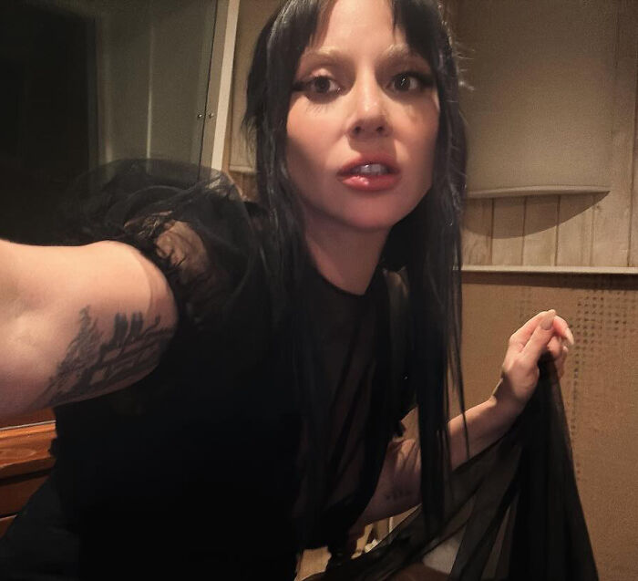 Lady Gaga close-up selfie with black outfit and long hair at concert, related to man jailed for attacking Ariana Grande.