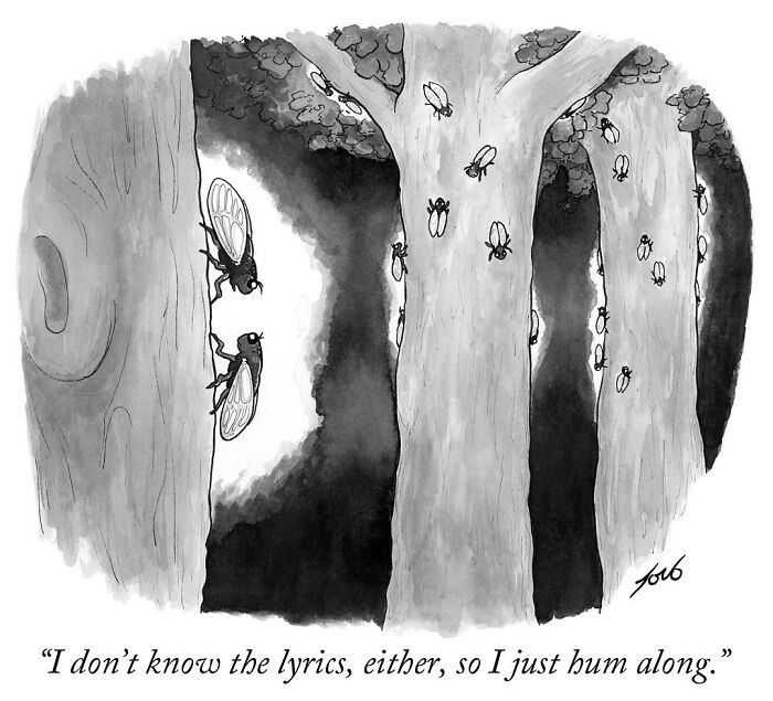 Black and white one-panel comic by Tom Toro showing cicadas on trees with humorous caption about humming along.