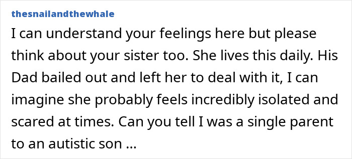 Commenter discussing complex family dynamics involving a Christmas nanny kid bite incident and single parenting challenges. Commenter discussing complex family dynamics involving a Christmas nanny kid bite incident and single parenting challenges.