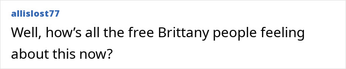 Comment mentioning Britney Spears and referencing how people who support her are feeling about a recent event. Comment mentioning Britney Spears and referencing how people who support her are feeling about a recent event.