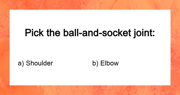 “Can You Get 35/40?”: The 50-50 General Knowledge Quiz That Could Go Either Way