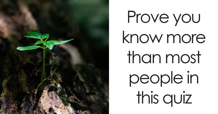 “Can You Get 35/40?”: The 50-50 General Knowledge Quiz That Could Go Either Way