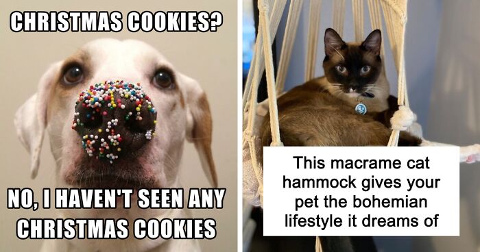 We Saw Thousands Of Products This Year, And These Are The 50 We Actually Obsessed Over