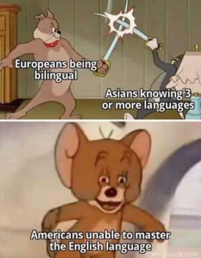 Tom and Jerry meme comparing Europeans, Asians, and Americans with language skills, highlighting humor in sarcasm posts.
