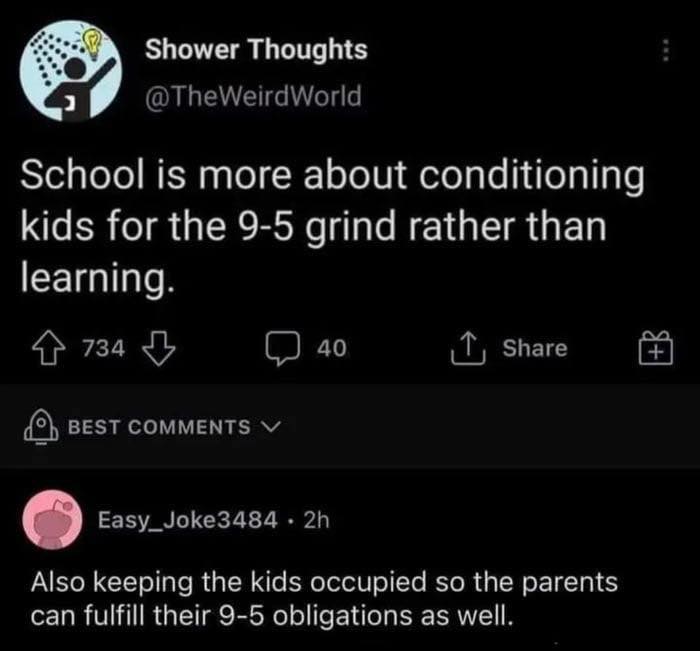 Screenshot of a sarcastic social media post discussing school conditioning kids for the 9-5 grind and parenting obligations.