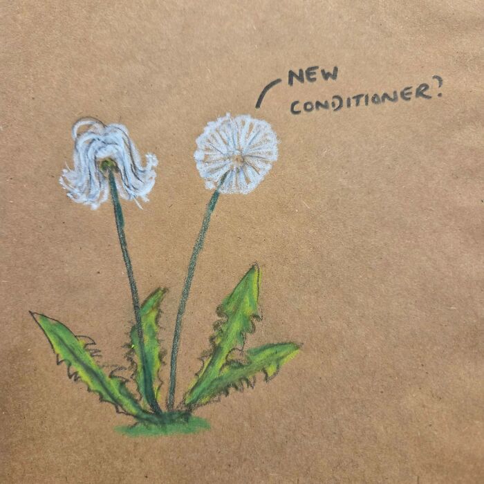 Hand-drawn dad joke on lunch bag featuring dandelions and pun about new conditioner for kids’ lunch bags.