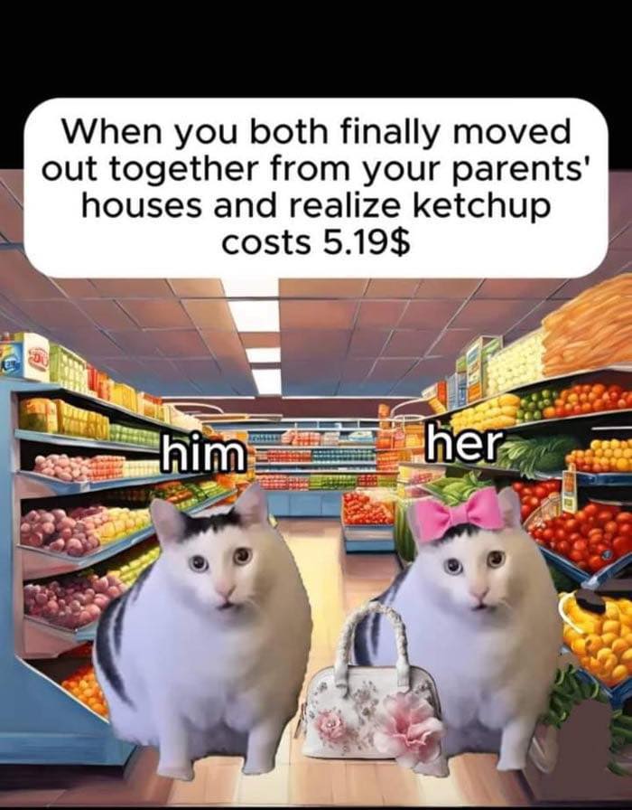 Two cats labeled him and her in a grocery store reacting to the high cost of ketchup in a sarcastic meme.