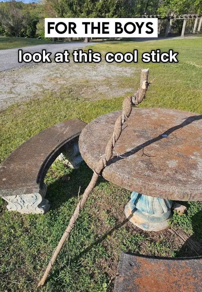 Outdoor rusty table with twisted stick and bench, humorous post illustrating collective brain cell sarcasm.