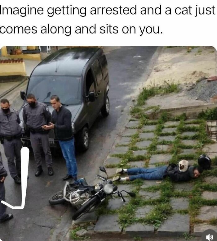 Man lying on grassy pavement with a cat sitting on him, surrounded by police officers and a fallen motorcycle in street scene.