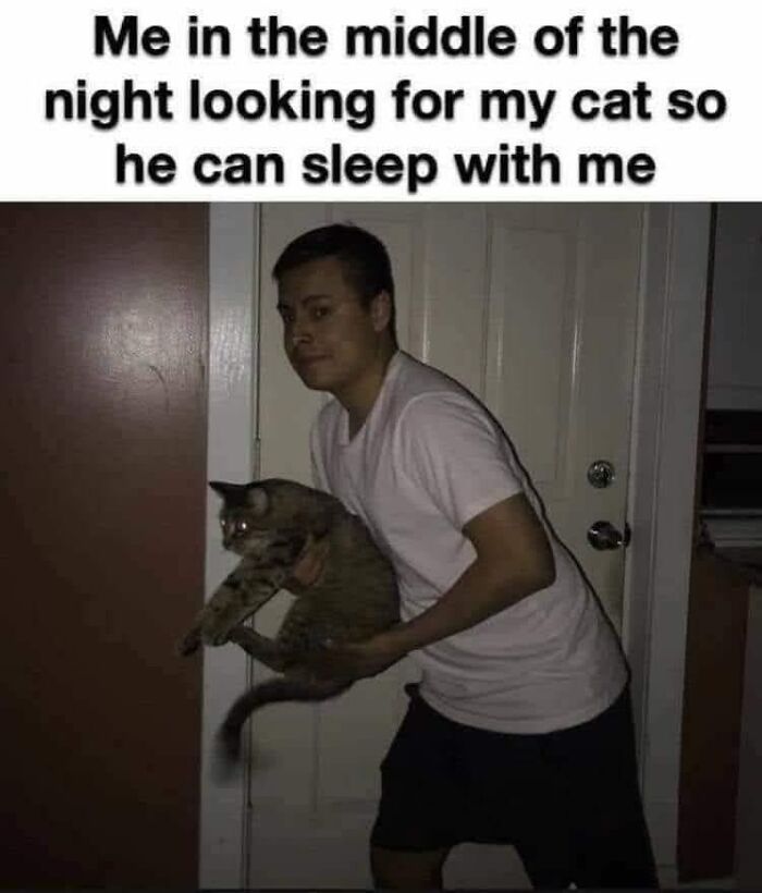 Person in a white shirt holding a cat at night searching for the cat in a humorous cat memes holiday moment.