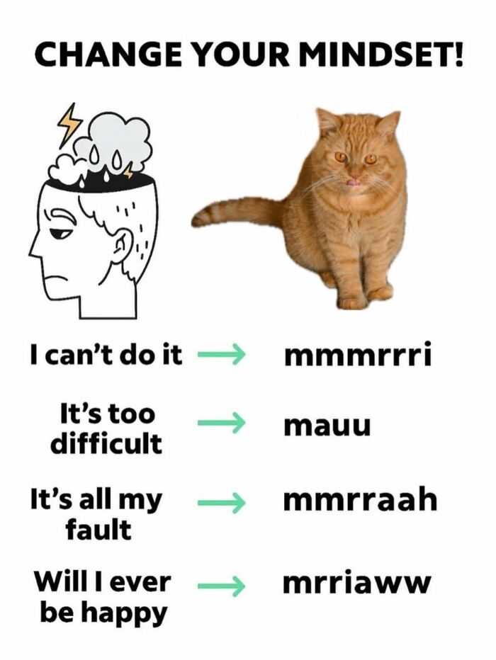 Illustration of changing negative thoughts to positive cat sounds with an orange cat, featuring cat memes for holidays.