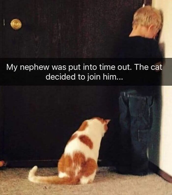 Child in time out facing the wall with cat sitting beside him, a humorous cat meme for holiday fun.
