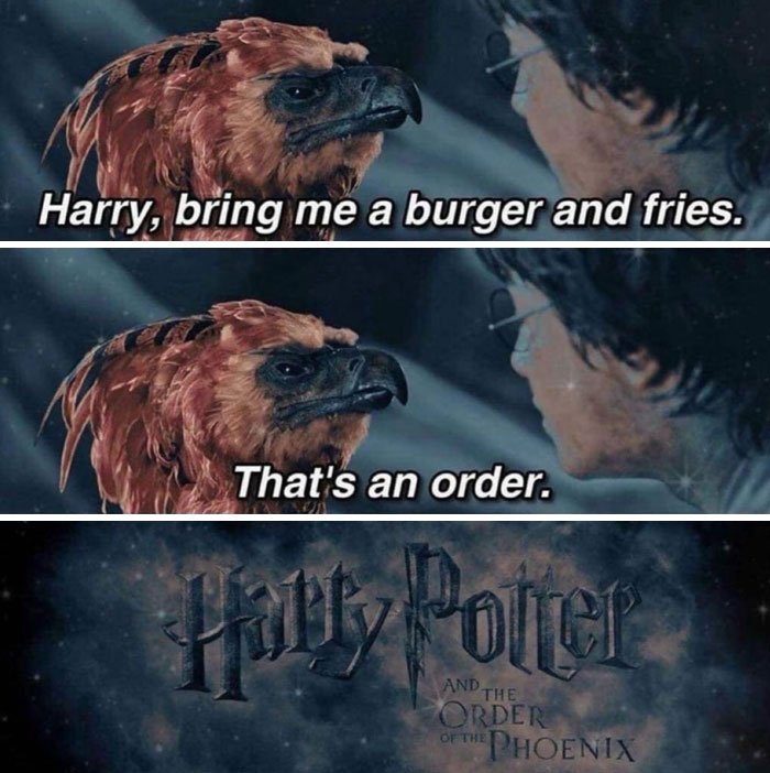 Harry Potter meme with dad jokes caption telling Harry to bring a burger and fries, referencing dad jokes humor.