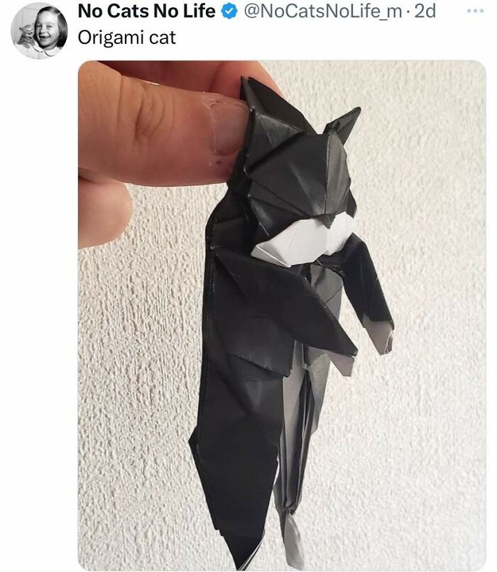 Origami cat held by fingers, showcasing a detailed black and white paper craft in a close-up view.