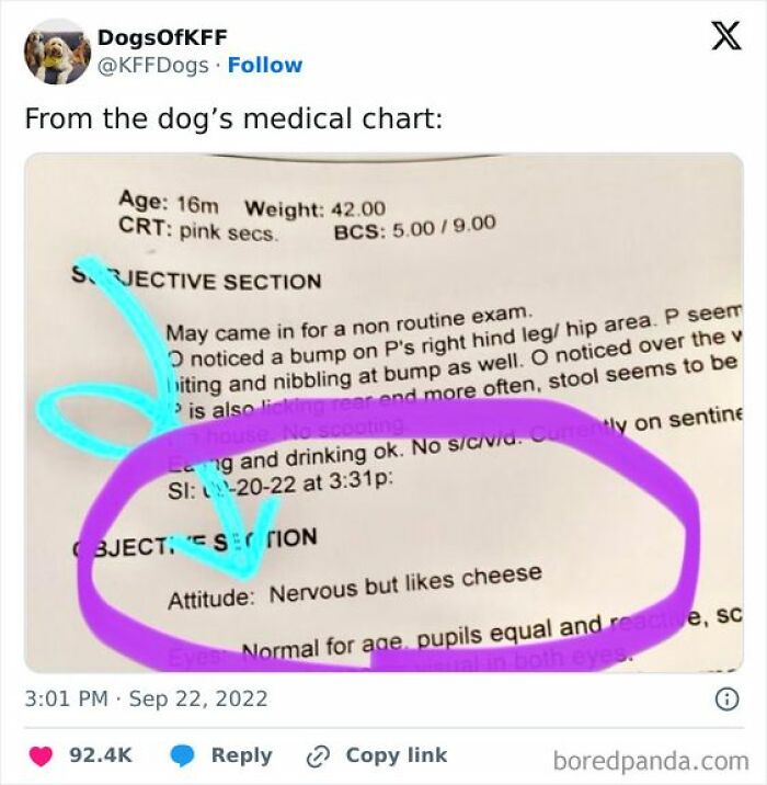 Medical chart showing a dog's attitude described as nervous but likes cheese, featured in cheerful memes online.