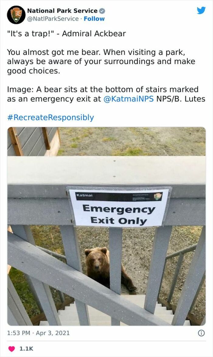 Bear sitting at the bottom of stairs marked emergency exit in a National Park Service tweet, a cheerful meme about online time.