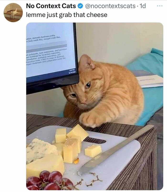 Orange cat reaching for cheese on table with grapes and knife, a cheerful meme for wasting time online.