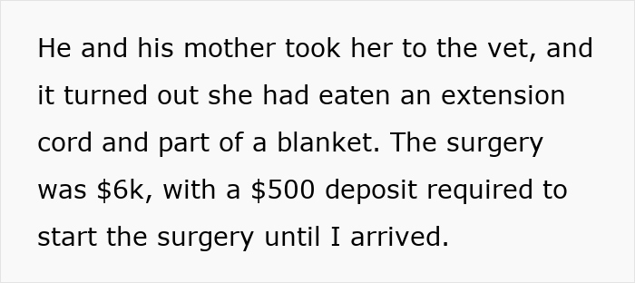 Alt text: Vet visit and surgery costs leading to entitled mother expenses split between son and girlfriend. Alt text: Vet visit and surgery costs leading to entitled mother expenses split between son and girlfriend.