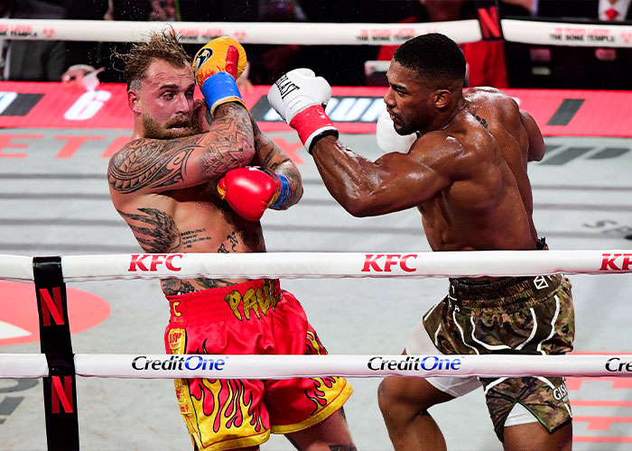 Jake Paul in boxing ring receiving punch, highlighting Jake Paul's broken jaw as internet's latest punchline. Jake Paul in boxing ring receiving punch, highlighting Jake Paul's broken jaw as internet's latest punchline.