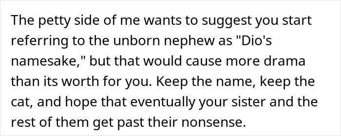 Text excerpt discussing a sister demanding family rehomes or renames an 11-year-old cat sharing a name with her son. Text excerpt discussing a sister demanding family rehomes or renames an 11-year-old cat sharing a name with her son.