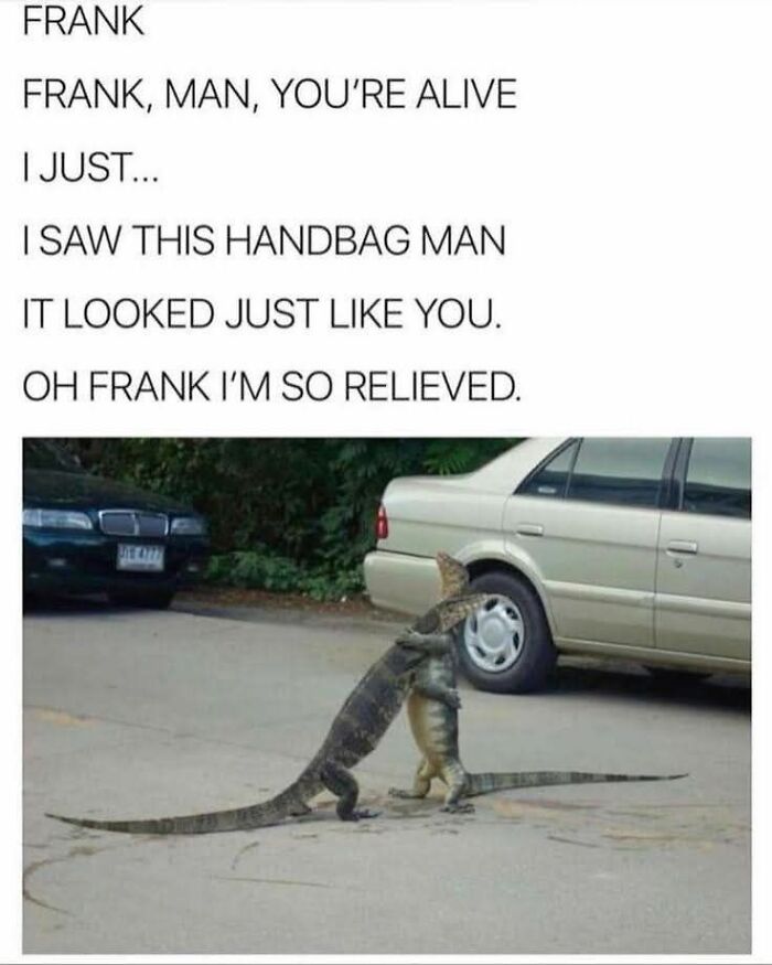 Two lizards hugging on a parking lot with a humorous caption, perfect for cute and sweet animal memes.