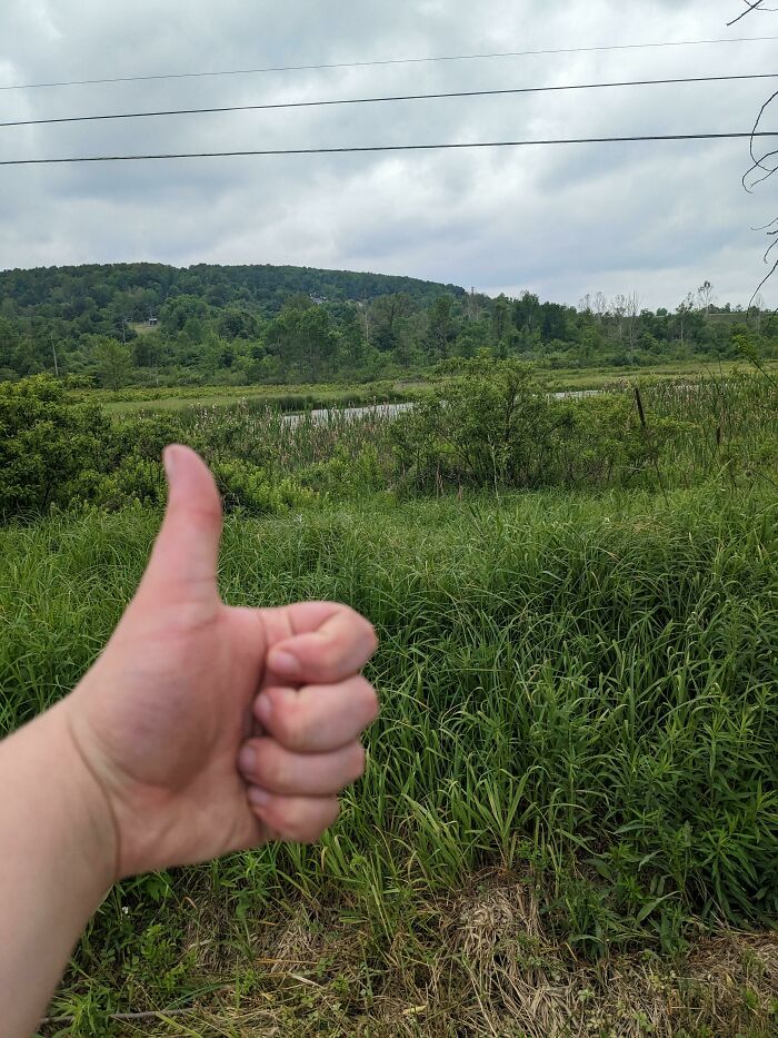 Thumbs up in front of a lush green landscape, symbolizing people taking a leap of faith and making best life decisions.