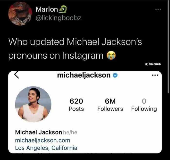 Screenshot of a funny social media post about Michael Jackson's Instagram pronouns that will make you say wait what and laugh out loud.