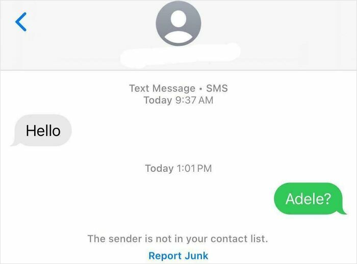 Screenshot of a funny wrong number text conversation with a simple greeting and a mistaken reply asking for Adele.