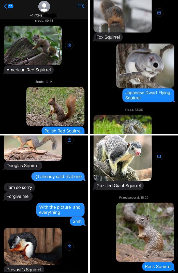 Screenshot of funny wrong number text exchange humorously identifying different types of squirrels with pictures.