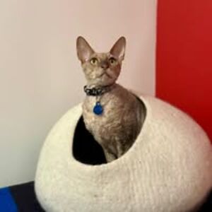 marian_shapiro avatar