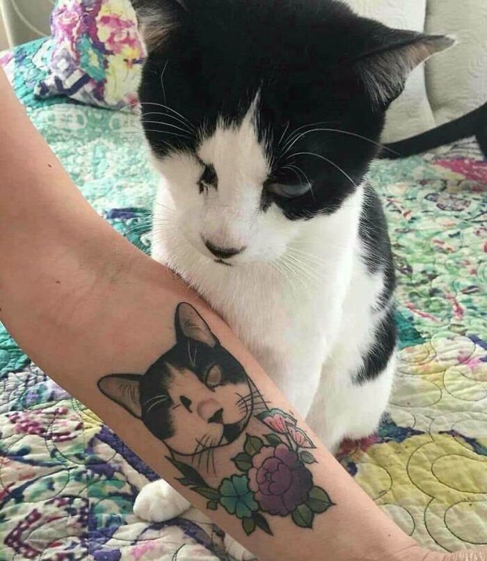 Black and white cat sitting next to an arm tattoo of the same cat with colorful flowers, showcasing wholesome tattoos.