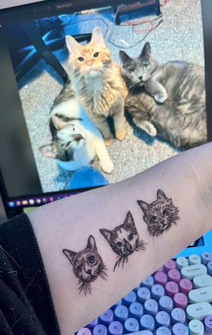 Arm tattoo of three detailed cat faces inspired by a photo of three cats, showcasing wholesome tattoos with meaningful ink. Arm tattoo of three detailed cat faces inspired by a photo of three cats, showcasing wholesome tattoos with meaningful ink.