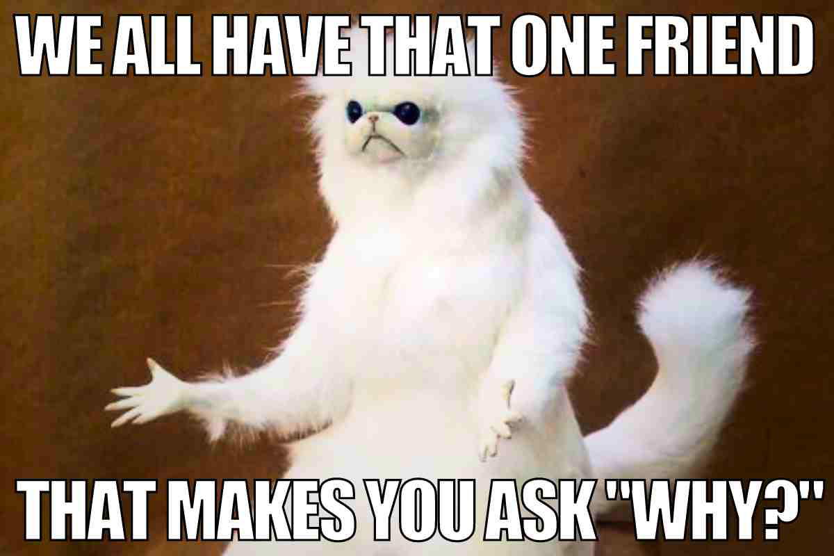 19 Quirky Gifts For The Friend Whose Taste Is Best Described As &#8220;Gloriously Unhinged&#8221;