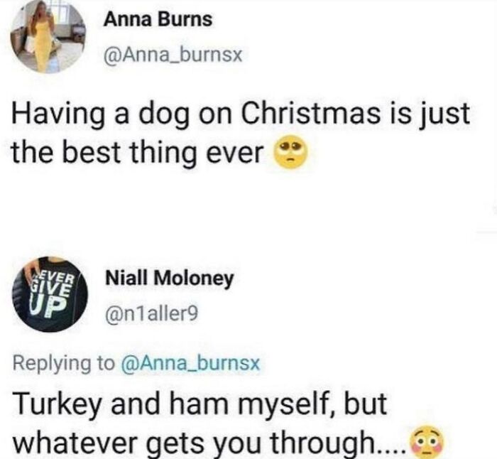 Funny social media posts about Christmas pets and holiday food that make you say wait what and laugh out loud