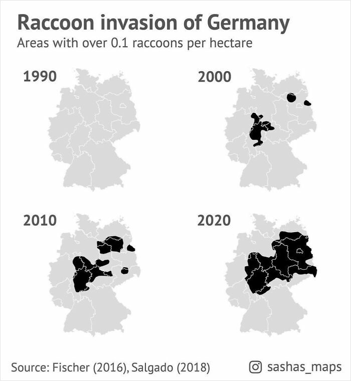 Map data showing the curiosity-interesting map data of raccoon invasion spreading across Germany from 1990 to 2020.