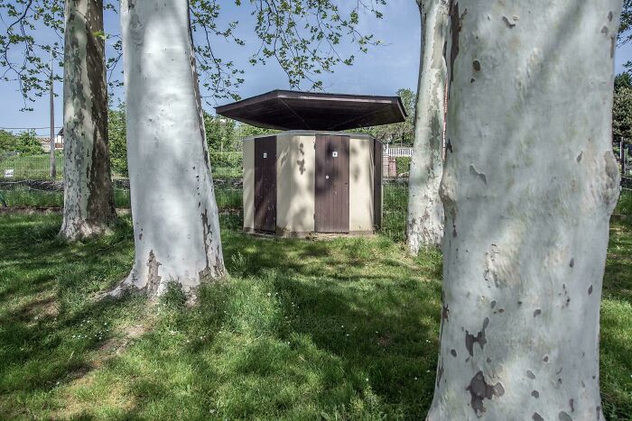 Confusing photo of a small building with an unusual floating roof among tall trees on a sunny day.