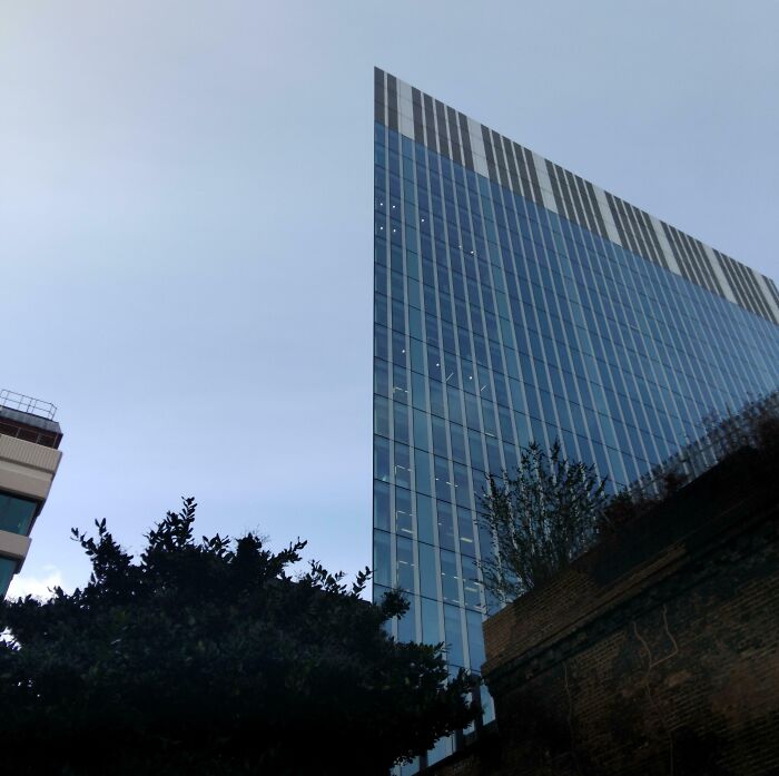 Tall glass building with reflective windows and trees in foreground, a confusing perspective challenging your brain to catch up.
