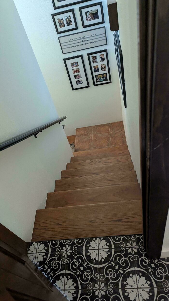 Tiny cat peeking from the bottom of a staircase in a spacious home with family photos on the wall.