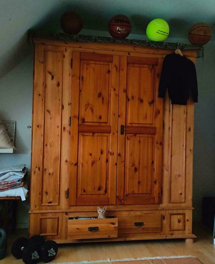 Tiny cat peeking out from a drawer in a big wooden wardrobe, showcasing tiny cats in big spaces vividly.