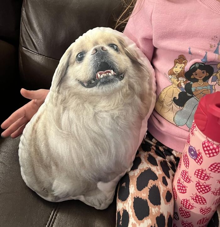 Custom gift pillow printed with a happy dog face held by a child wearing a princess sweatshirt and leopard print pants.