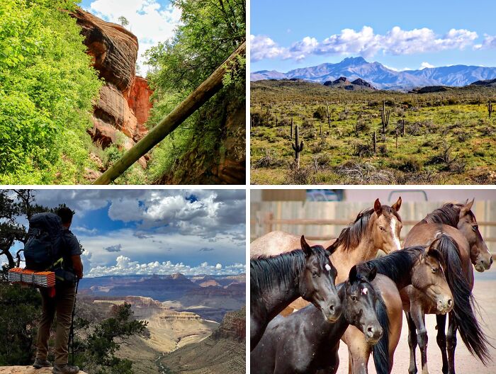 Collage of outdoor adventure scenes showing nature, desert landscape, hiking, and horses symbolizing leap of faith moments.