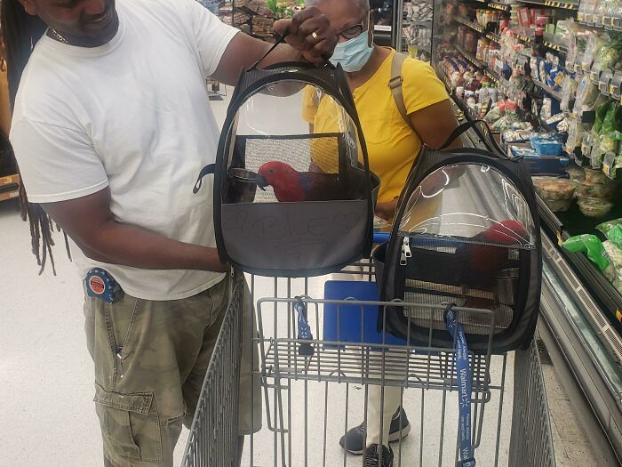 Two people at Walmart grocery aisle with pet birds in backpacks on a shopping cart, unusual Walmart store sighting.