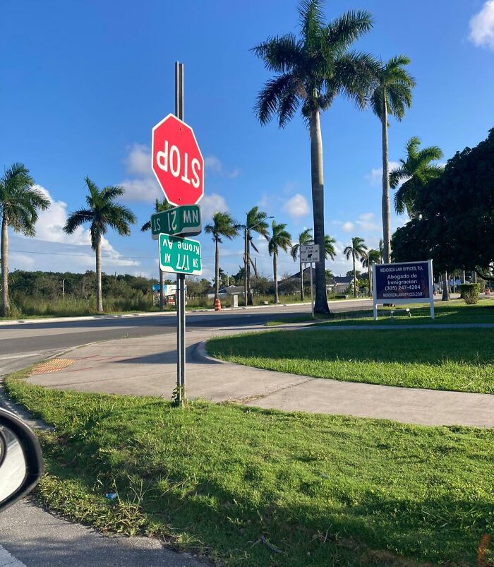 Stop sign and street signs installed upside down at a sunny intersection with palm trees and a grassy sidewalk.
