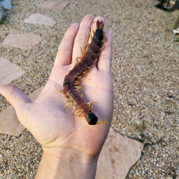 44 Of The Most Satisfying Instant Karma Manifestations People Have Ever Witnessed