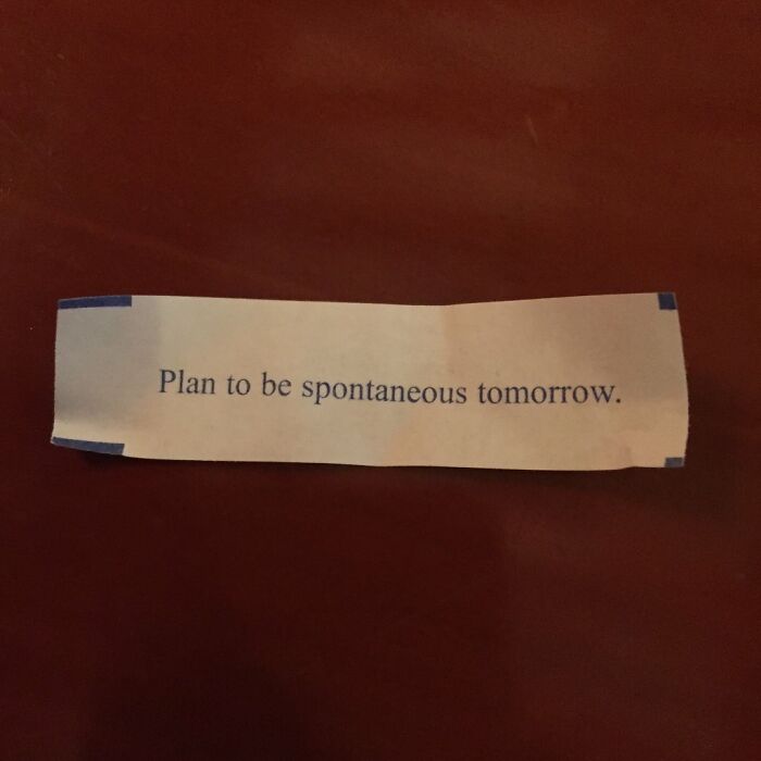 Fortune cookie slip with ironic message about planning spontaneity, illustrating pointless things that are funny and serve no purpose.