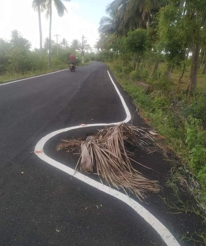 Road with poorly painted lines curving around a branch, illustrating people doing their jobs poorly in a surprising way.