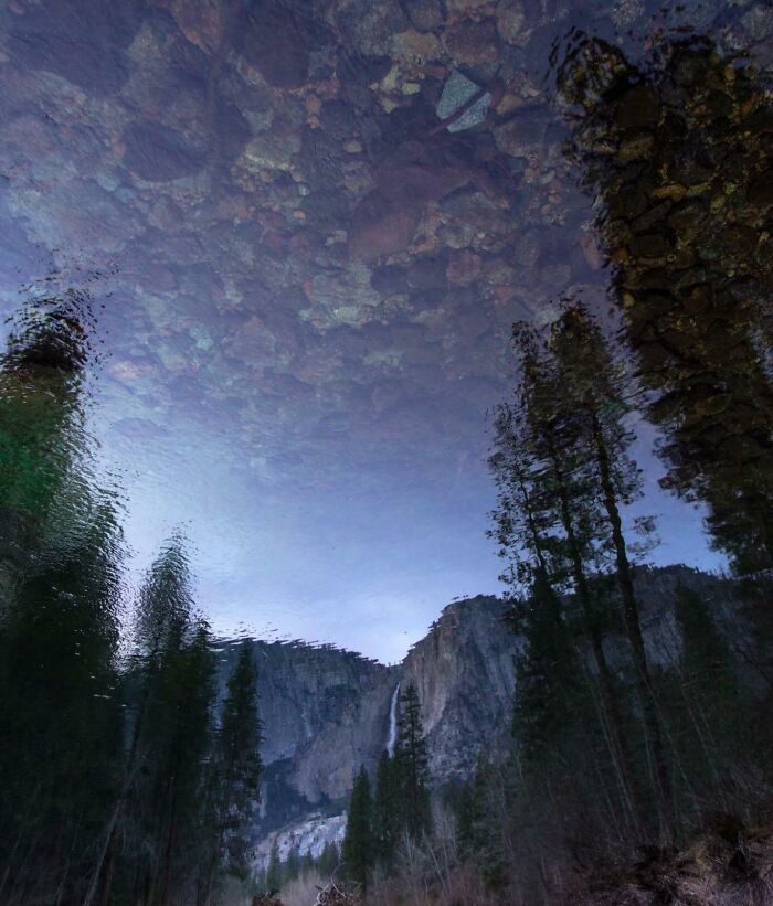 Reflection of tall trees and mountains in clear water, creating a confusing photo that challenges the brain to catch up.