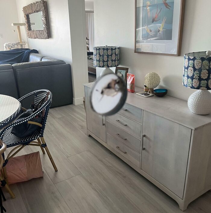 Confusing photo showing a floating object in a living room, creating a surreal and puzzling visual effect.