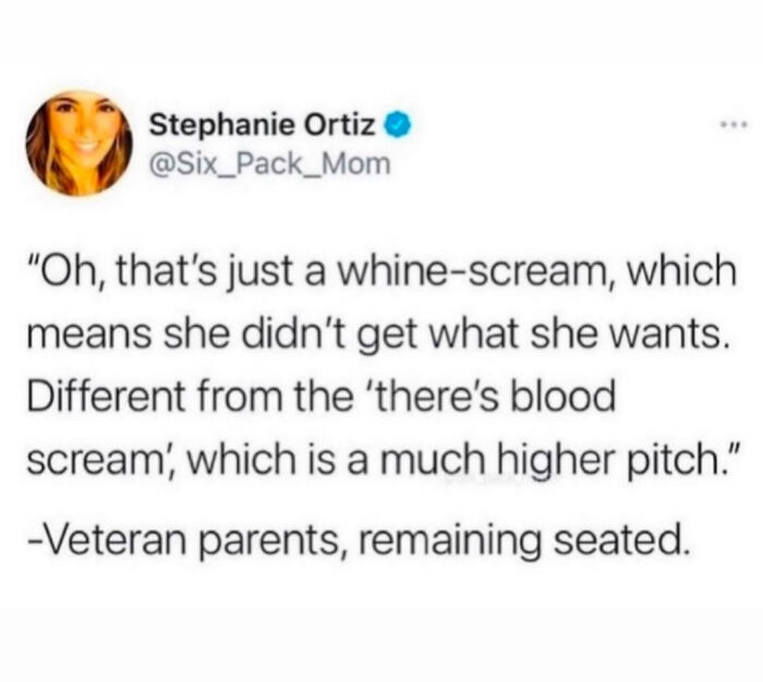 Parent meme humor explaining different child screams with relatable quotes for parents managing home chaos.