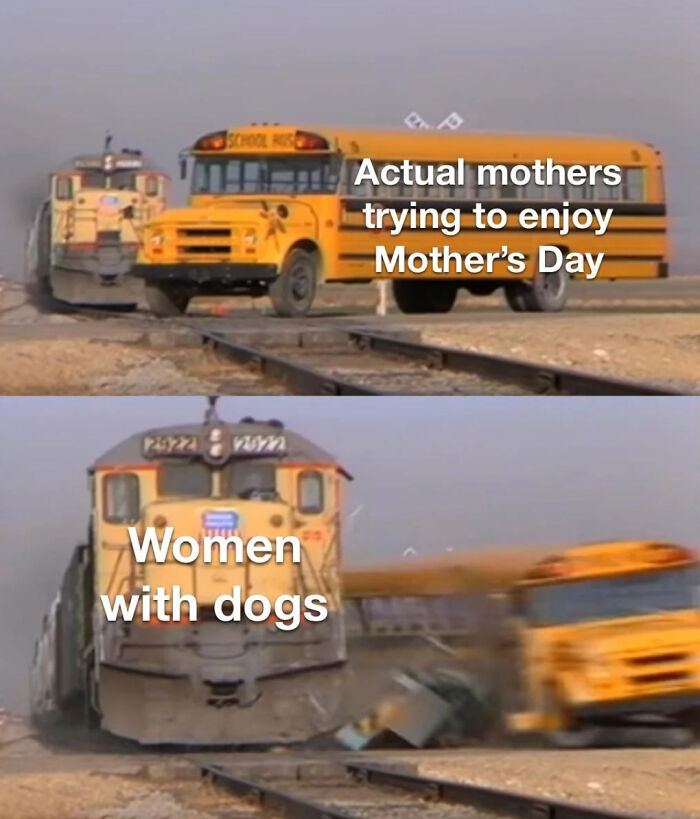 School bus and train meme illustrating relatable memes for parents about chaotic Mother's Day struggles.